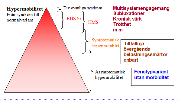 hypermobilitetsskiss